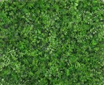 Green Grass Wall Backdrop_Artificial Hedge