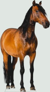 Life Size Horse Cardboard Cutout