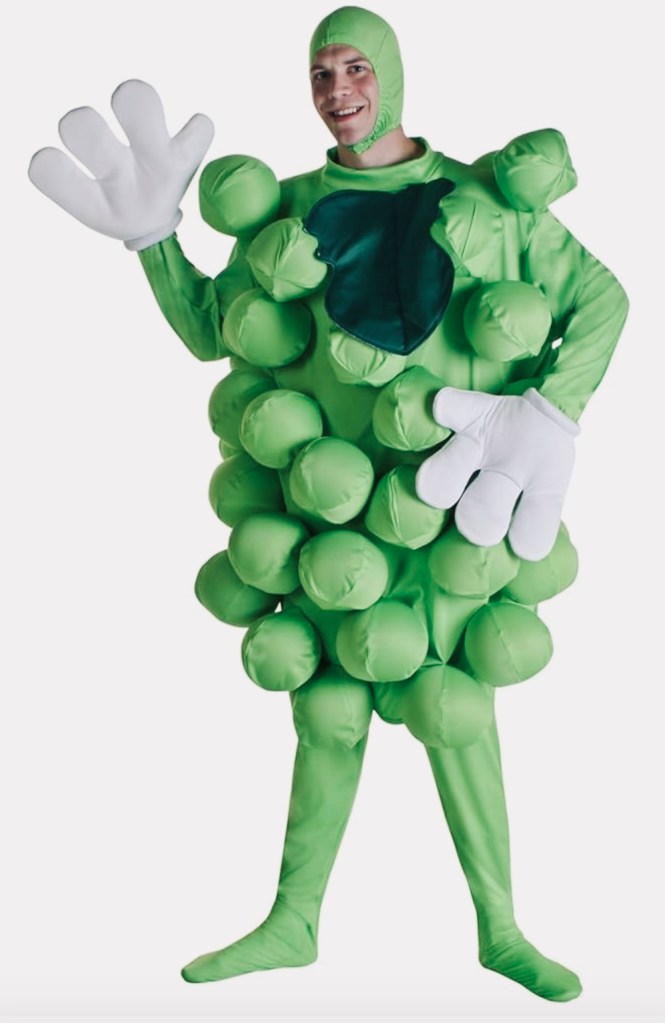 Green Grapes Costume