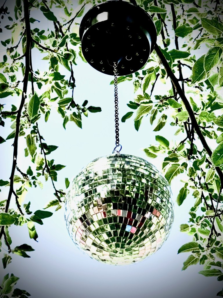 Small Disco Ball