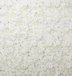 White Silk Rose Floral Backdrop