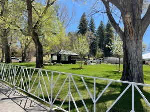 Photo Bouie at the Durango Wine Experience